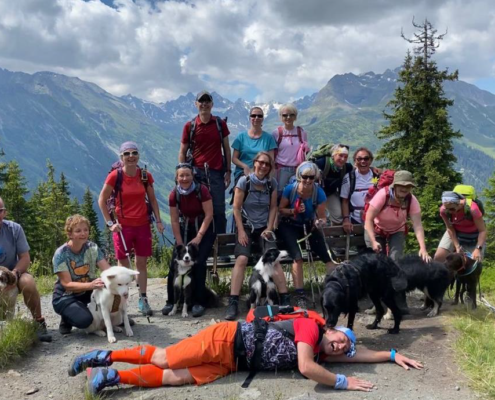 Alpenüberquerung mit Hund