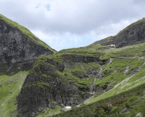 Alpenüberquerung mit Hund