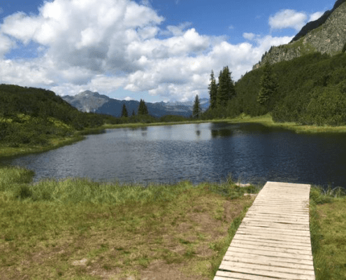 Alpenüberquerung mit Hund