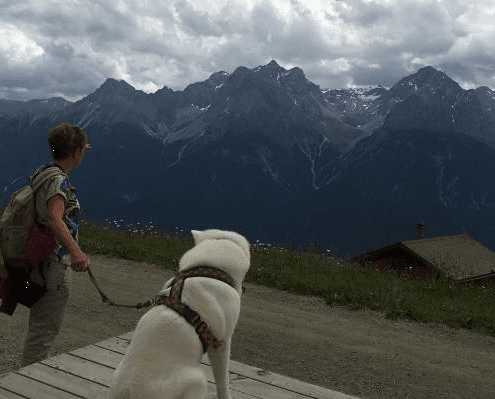 Alpenüberquerung mit Hund