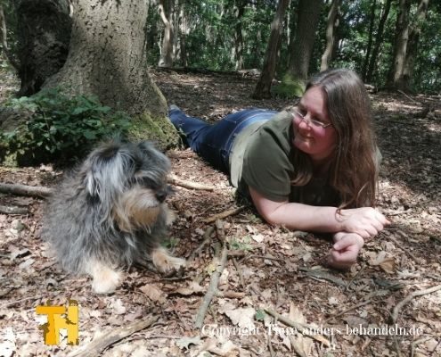 Zubereitung von Hundesnacks