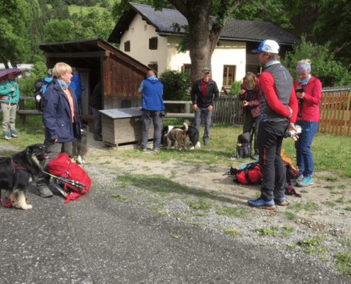 Alpenüberquerung mit Hund