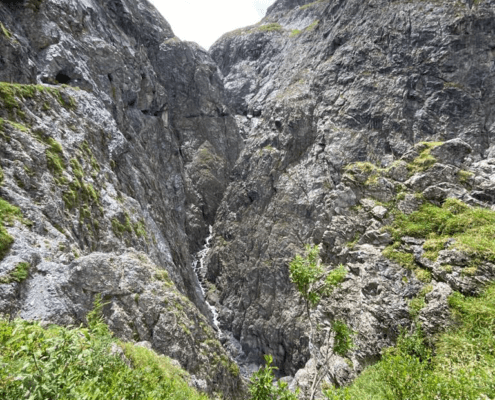 Alpenüberquerung mit Hund