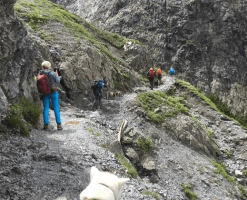 Alpenüberquerung mit Hund