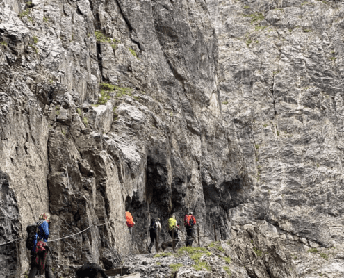 Alpenüberquerung mit Hund