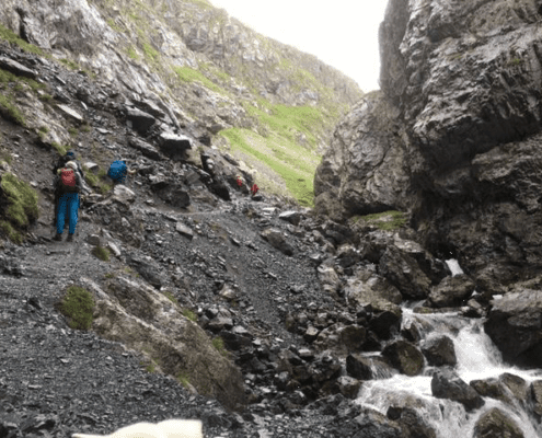 Alpenüberquerung mit Hund