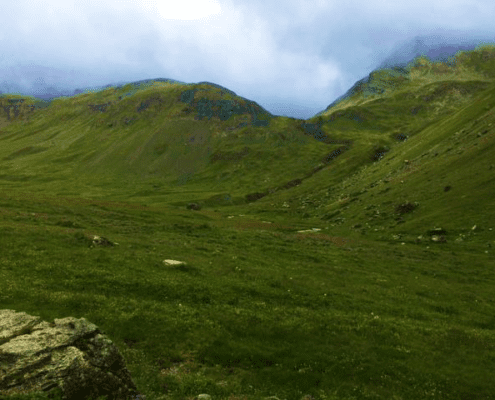 Alpenüberquerung mit Hund