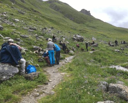 Alpenüberquerung mit Hund