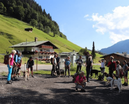 Alpenüberquerung mit Hund