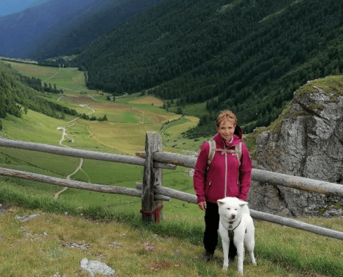 Alpenüberquerung mit Hund