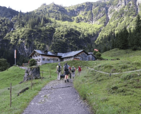 Alpenüberquerung mit Hund