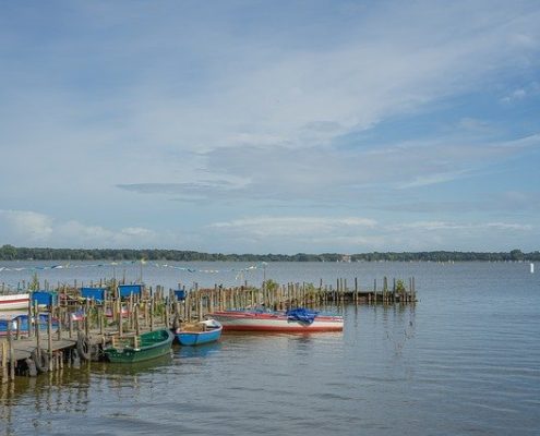 4Pfoten-Urlaub Ammerlandurlaub mit Hund