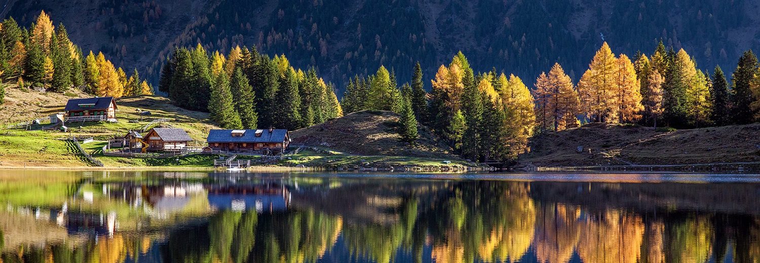 Urlaub mit Hund in Österreich