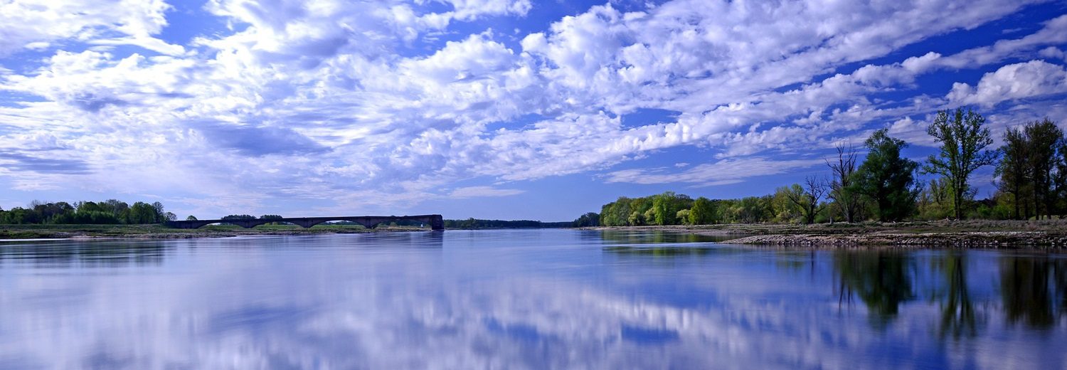 Urlaub mit Hund in Brandenburg