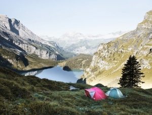 4Pfoten-Urlaub – Campingurlaub mit Hund