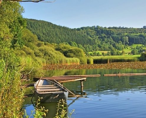 4Pfoten-Urlaub Die Eifel im Urlaub mit Hund erkunden