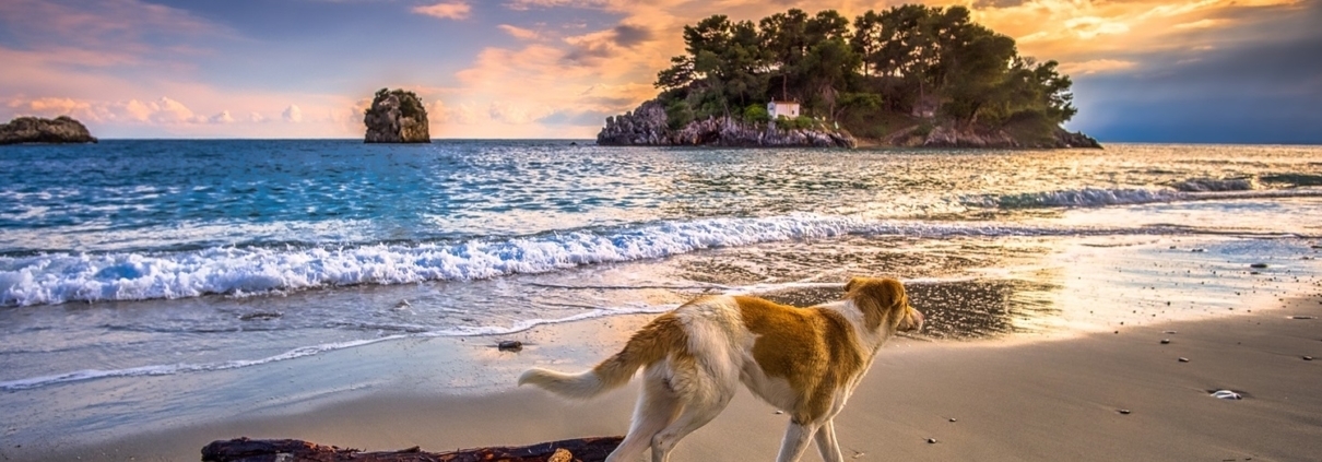 Urlaub mit Hund in Griechenland