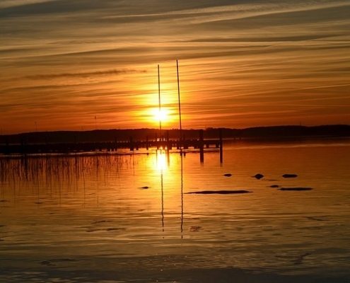 4Pfoten-Urlaub mit dem Vierbeiner die mecklenburgische Seenplatte erkunden