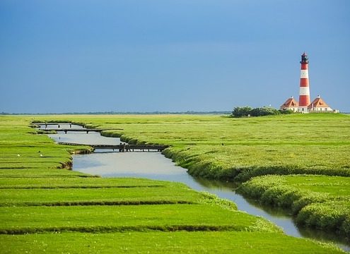 4Pfoten-Urlaub Ferien mit Hund auf Eiderstedt