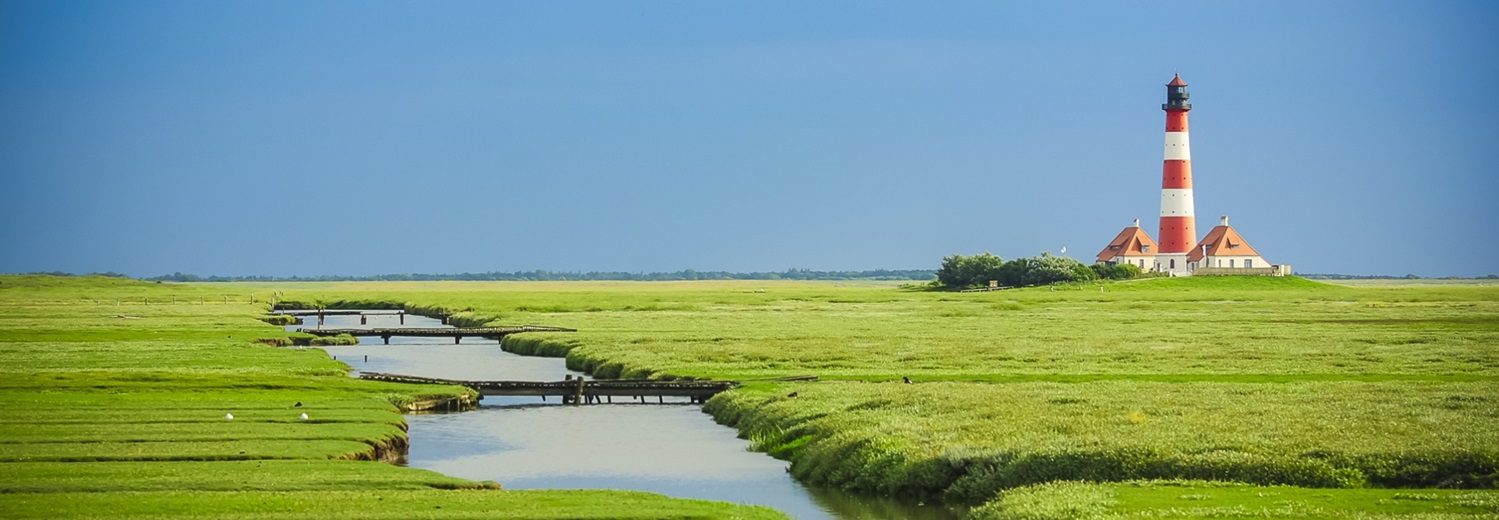 Urlaub mit Hund in Schleswig-Holstein