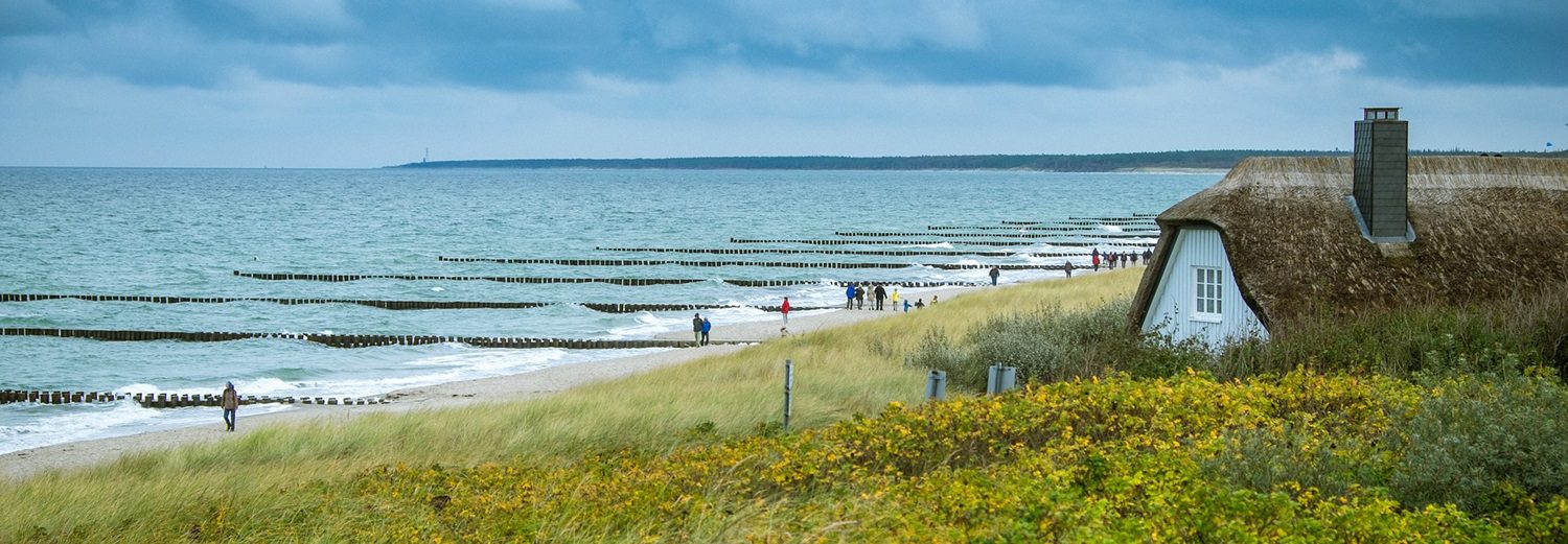 Urlaub mit Hund in Mecklenburg-Vorpommern