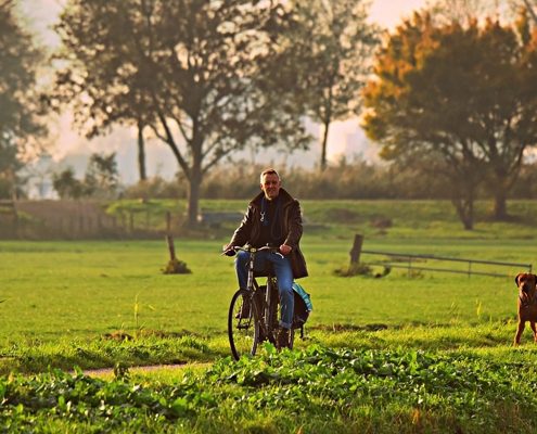 Radfahren mit dem Hund