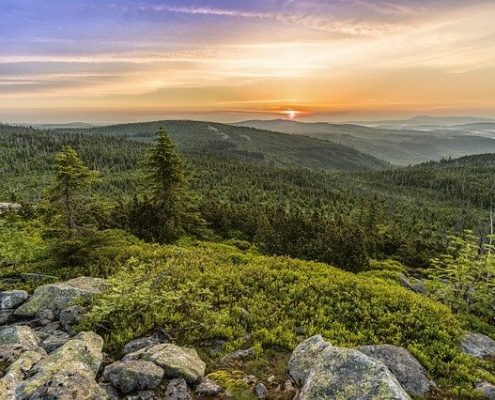 4Pfoten-Urlaub Urlaub mit Hund im bayerischen Wald