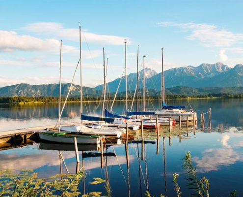 4Pfoten-Urlaub Urlaub mit Hund im Chiemgau