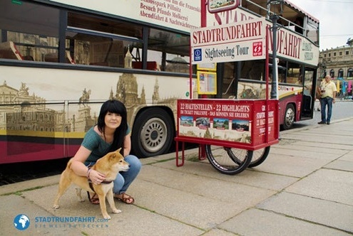 4Pfoten-Urlaub Dresden mit Hund erleben