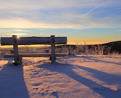 4Pfoten-Urlaub Ferien mit Hund im Erzgebirge