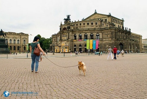 4Pfoten-Urlaub Urlaub mit Hund in Dresden