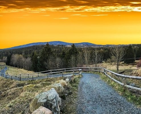 4Pfoten-Urlaub Wanderurlaub mit Hund im Harz