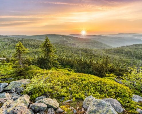 4Pfoten-Urlaub Ferien mit Hund im bayerischen Wald