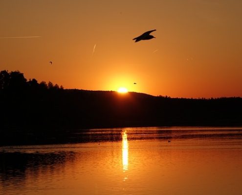 4Pfoten-Urlaub Ferien mit Hund in der Oberpfalz