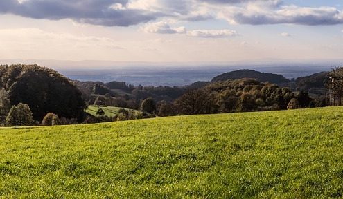 4Pfoten-Urlaub Odenwald Urlaub mit Hund