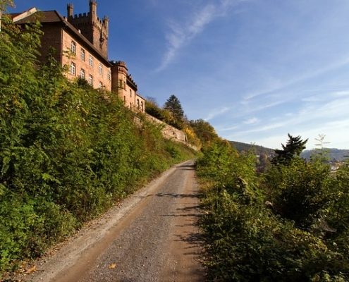 4Pfoten-Urlaub Den Odenwald mit Hund entdecken