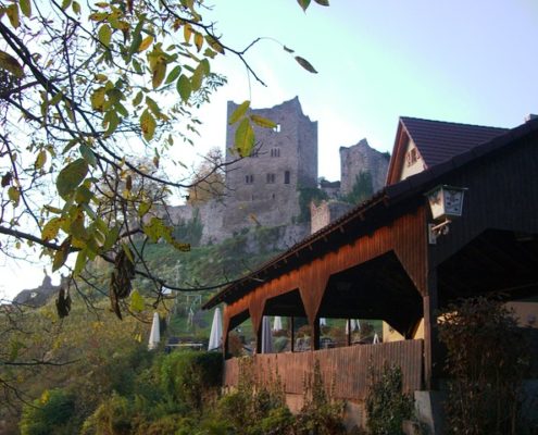 4Pfoten-Urlaub Ferien mit Hundin der Ortenau