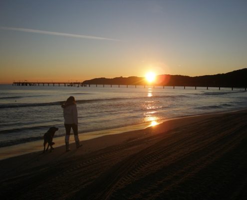 4pfoten-urlaub Ostsee mit Hund