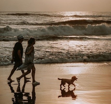 4Pfoten-Urlaub Strandspaziergang mit Hund