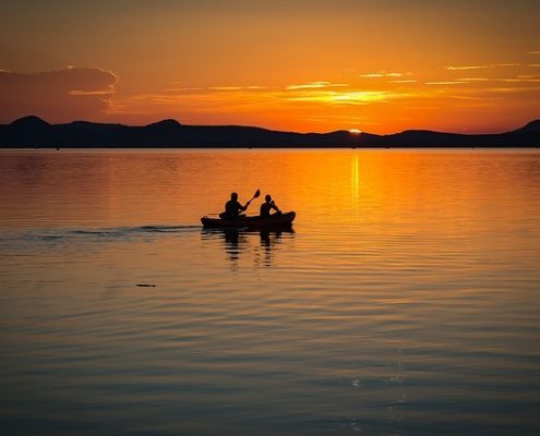 4Pfoten-Urlaub Ungarn mit Hund