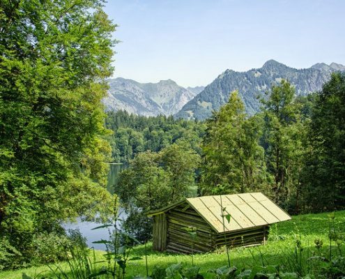 4Pfoten-Urlaub – Ferien mit Hund im Allgäu