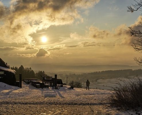 4Pfoten-Urlaub Den Vogelsberg mit dem Vierbeiner entdecken