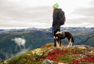 4Pfoten-Urlaub – Wanderurlaub mit Hund