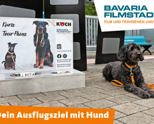 Die Bavaria Filmstadt mit Hund entdecken
