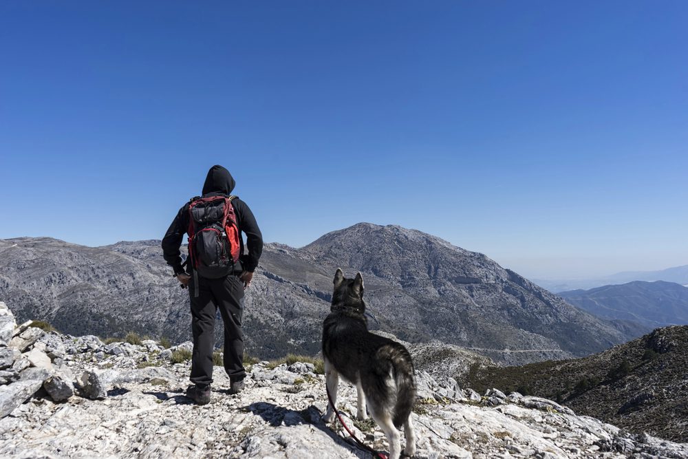 4Pfoten-Urlaub Bergtour mit dem Vierbeiner