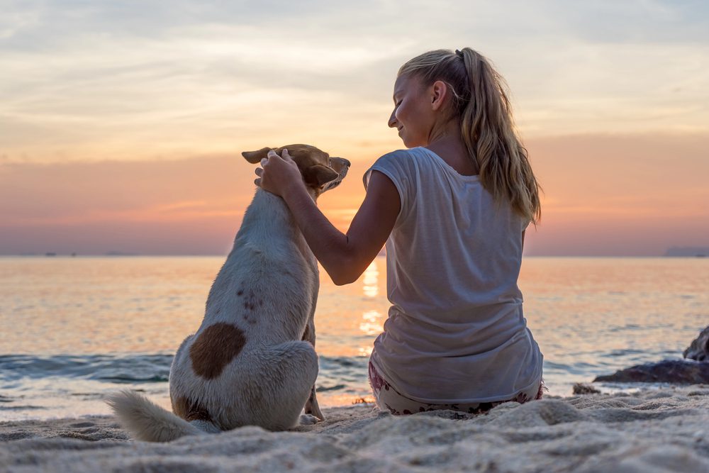 4Pfoten-Urlaub Reisen mit dem Vierbeiner