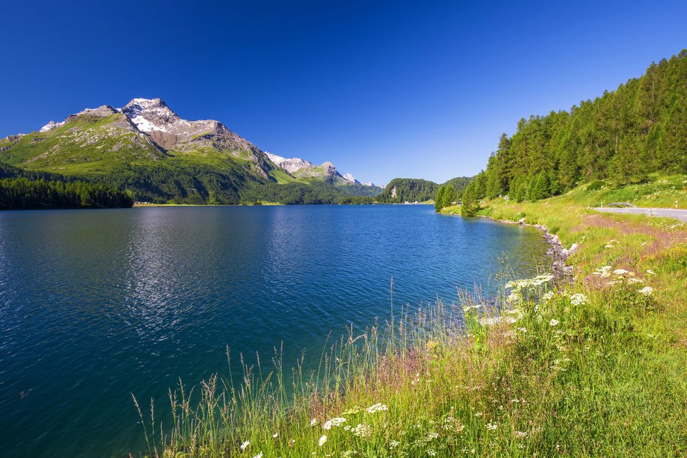 4Pfoten-Urlaub Schweizurlaub mit Hund