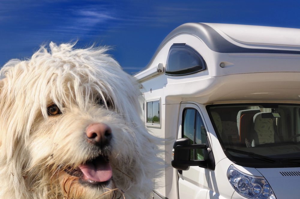 4Pfoten-Urlaub Schottland mit Wohnmobil erkunden