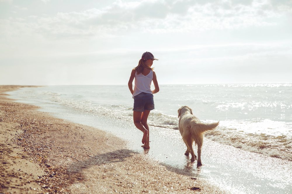 4Pfoten-Urlaub Strandurlaub mit Hund auf Norderney