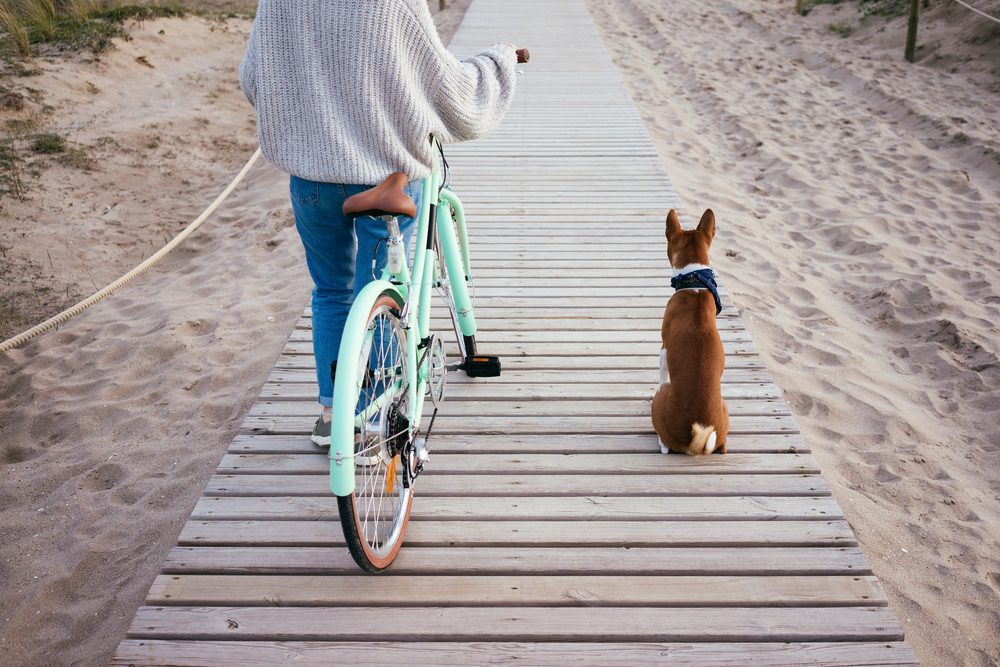 4Pfoten-Urlaub Fahrrad fahren mit Hund